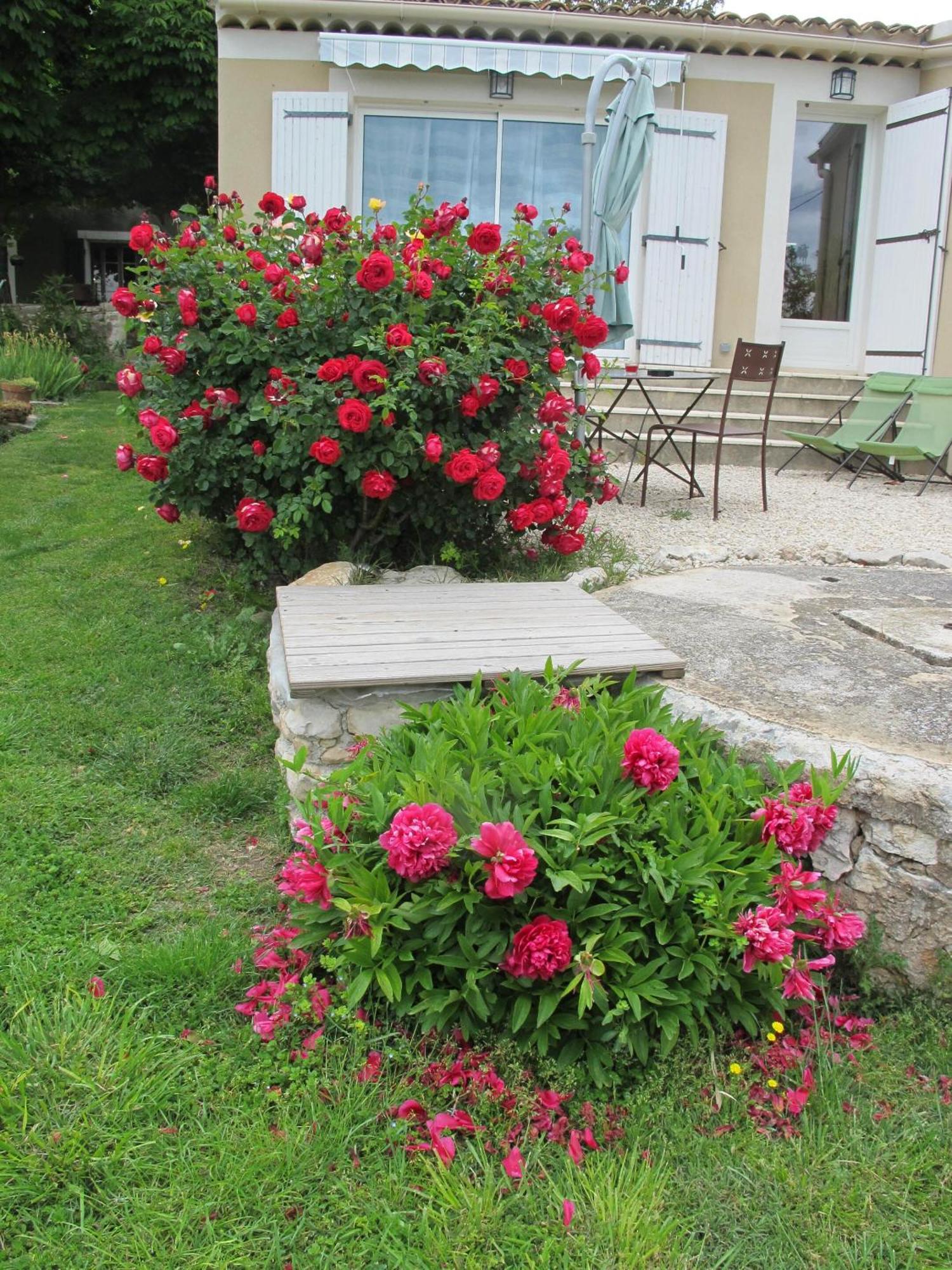 Bed and Breakfast Lou Cardalines à Bédoin Extérieur photo